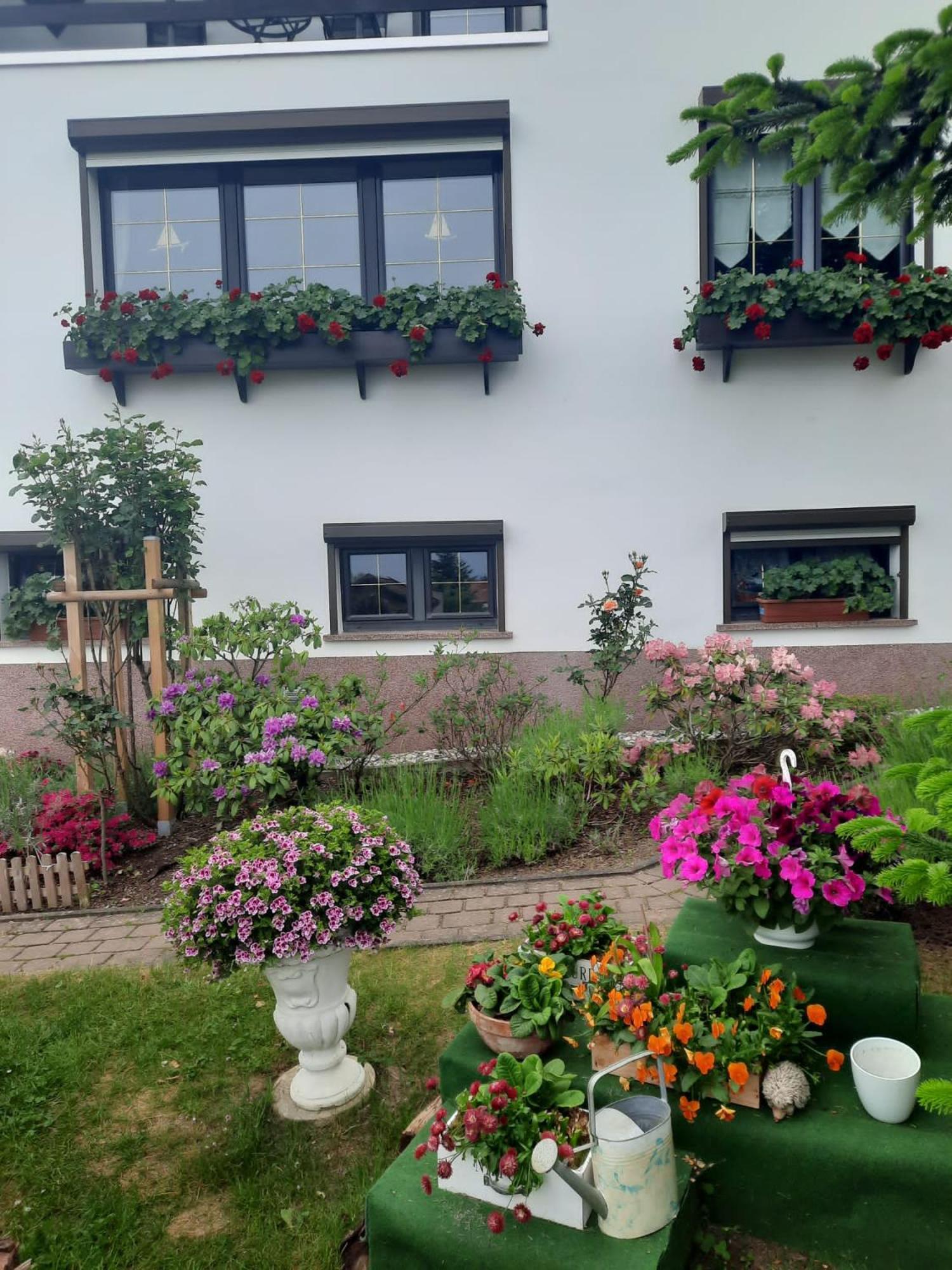 Ferienwohnung"Harzliebe" Gernrode  Экстерьер фото